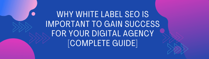 Why White Label SEO is Important to Gain Success for your Digital Agency